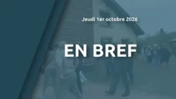 In brief