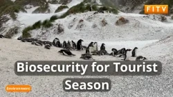 Falklands Offers Biosecurity Update Ahead Of New Tourist Season