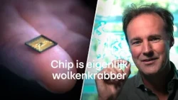 'This is absolutely insane!' This is how small the chips made by ASML machines are