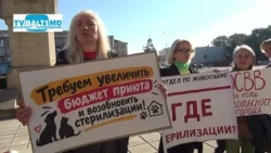 We demand an increase in the animal shelter budget